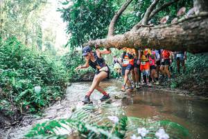 BIB: 
                            <button type="button" onclick="openModal(25472859)" class="btn btn-primary btn-sm float-right btn-popup" data-toggle="modal" data-target=".modal-high-quality">
                        <i class="fas fa-shopping-cart"></i> Add to Cart
                    </button>
                                            <button type="button" onclick="isThisMe(25472859, true)" class="btn btn-success btn-sm float-right btn-popup btn-isme hidden" data-toggle="tooltip" data-placement="bottom" title="นี่คือรูปของคุณใช่ไหม คลิกที่นี่เพื่อเอาเข้าอัลบั้ม">
                        <i class="fas fa-plus"></i> Add to album
                    </button>
                    <button type="button" onclick="isThisMe(25472859, false)" class="btn btn-warning btn-sm float-right btn-popup btn-isnotme hidden">
                        <i class="fas fa-ban"></i> Remove from album
                    </button>